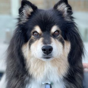 Meet your Posher, Tania